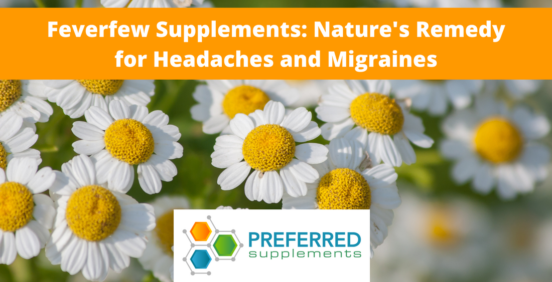 Feverfew Supplements: Nature's Remedy for Headaches and Migraines