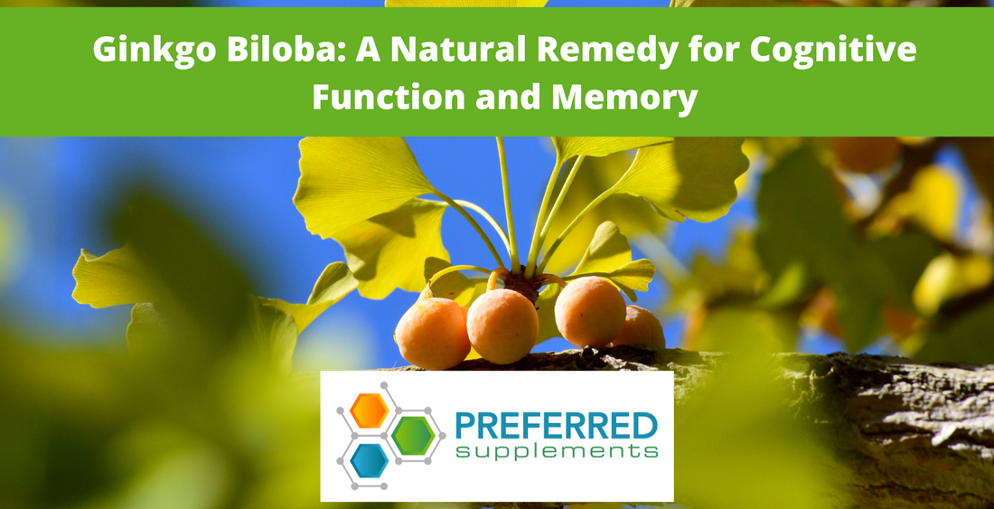 Ginkgo Biloba: A Natural Remedy for Cognitive Function and Memory