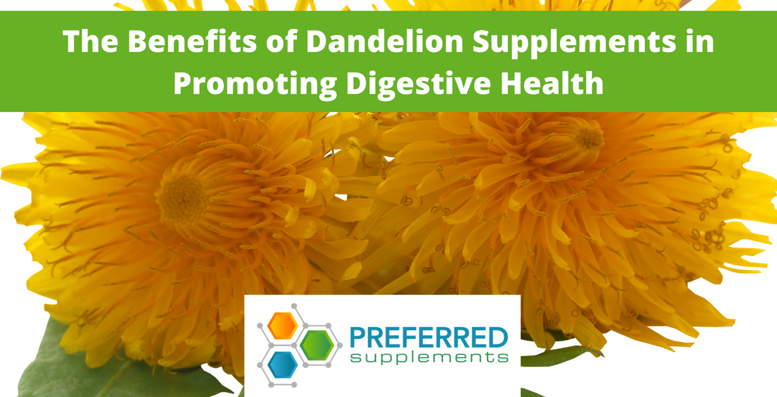 The Benefits of Dandelion Supplements in Promoting Digestive Health